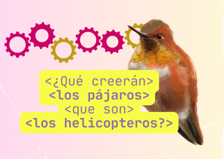 ¿Qué creerán los pájaros que son los helicópteros?