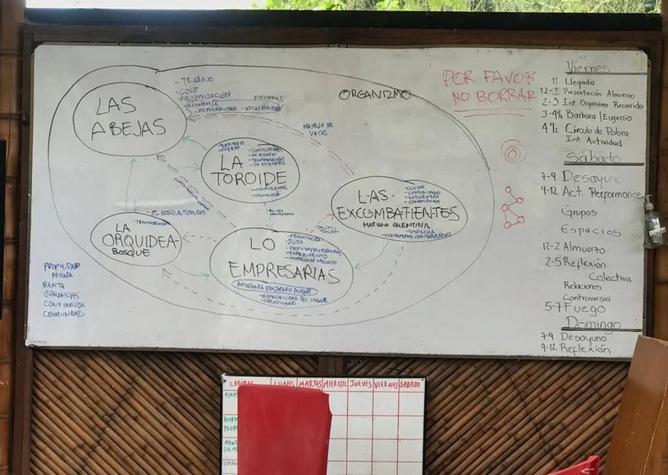 When Bees, Orchids, and a Toroid Joined the Dialogue