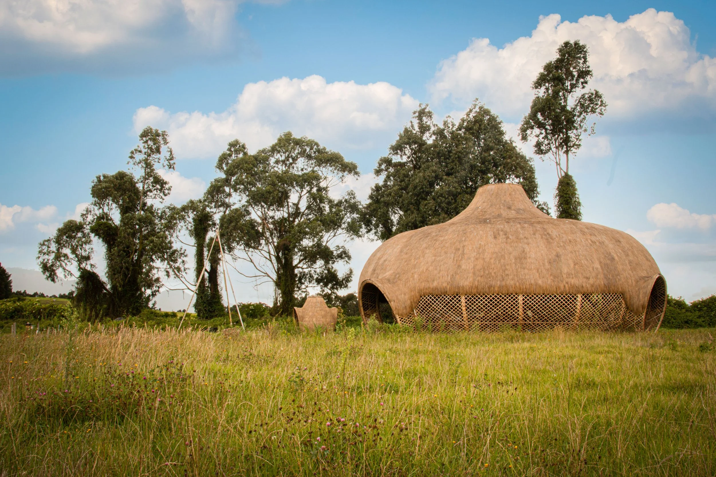 Mutispecies embodied dialogue posibilities